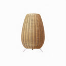 Almirae | Rattan Floor Lamp