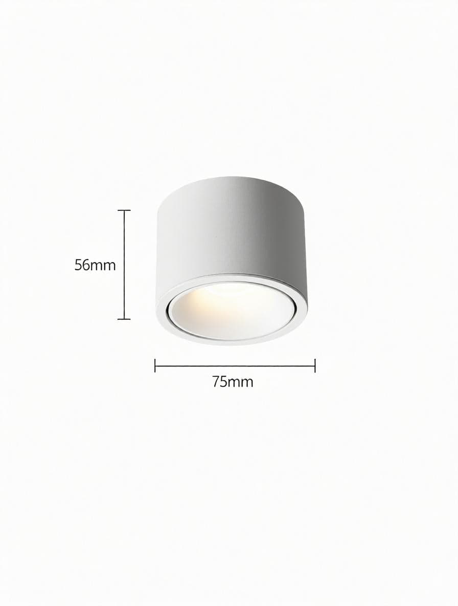 Jonvaleriae | Surface Mounted Light