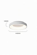 Progar 1 | Ceiling Mounted Light