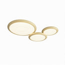 Clemensen B | Ceiling Mounted Light