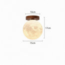 Calenwe | Semi Flush Mounted Light