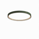 Minerich | Ceiling Mounted Light