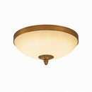 Morveness | Ceiling Mounted Light
