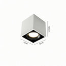 Luravynor Deux | Surface Mounted Light