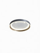 Dollente | Ceiling Mounted Light