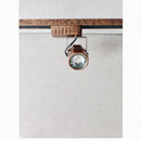 Faenorin | Track Light