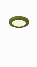 Froemke | Ceiling Mounted Light