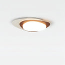 Brandin | Ceiling Mounted Light