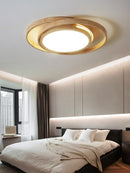 Voryselle | Ceiling Mounted Light