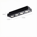 Ralvenith B | Surface Mounted Light