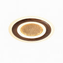 Mirenthe C | Ceiling Mounted Light