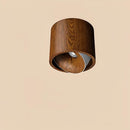 Ylventhria | Surface Mounted Light