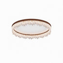 Veylissia | Ceiling Mounted Light