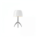 Reginato | Shaded Table Lamp