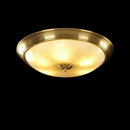 Erynvel Une | Ceiling Mounted Light