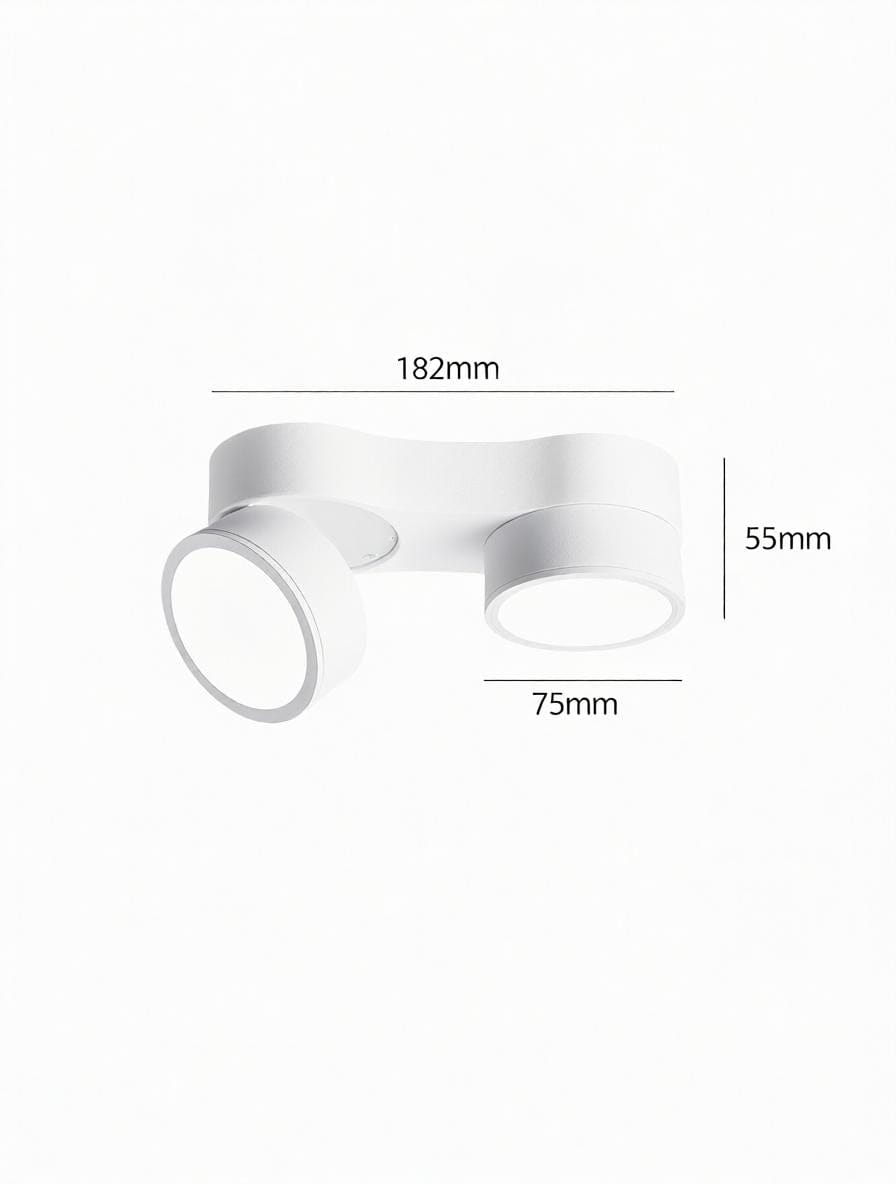 Kelryssarae | Surface Mounted Light