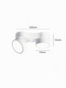 Kelryssarae | Surface Mounted Light