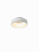 Kunzmann | Ceiling Mounted Light