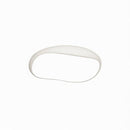 Tashima | Ceiling Mounted Light