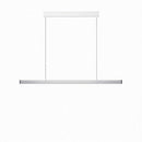 Gurian B | Linear Chandelier