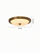 Vylenar | Ceiling Mounted Light