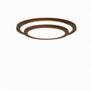 Polizzo | Ceiling Mounted Light