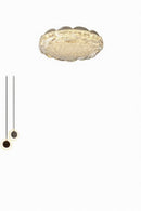 Swansen Une | Ceiling Mounted Light
