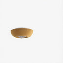 Corvein I Retro Ceiling Mounted Light