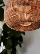 Daelindara | Pendant Light