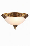 Maelindris | Ceiling Mounted Light