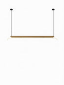 Myrwyn | Linear Chandelier
