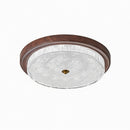 Froden | Ceiling Mounted Light