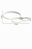 Schaver | Ceiling Mounted Light