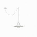 Elwynnora A | Pendant Light