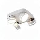 Prylantherae | Surface Mounted Light