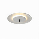 Mcgory | Ceiling Mounted Light