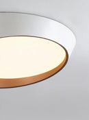 Rienzi | Ceiling Mounted Light