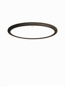 Silvanea | Ceiling Mounted Light