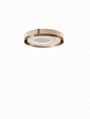 Reonara | Ceiling Mounted Light
