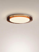 Galthara Une I Ceiling Mounted Light