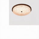 Froden | Ceiling Mounted Light