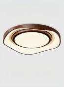 Lyraeen | Ceiling Mounted Light