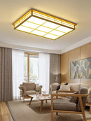 Tarysira | Ceiling Mounted Light