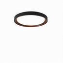 Blunden | Ceiling Mounted Light