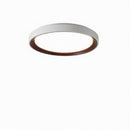 Blunden | Ceiling Mounted Light