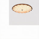 Wernar | Ceiling Mounted Light