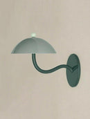 Iaelwynne I Wall Light