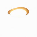 Trelisun | Ceiling Mounted Light