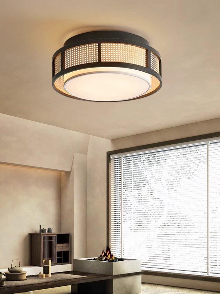 Orrenel | Ceiling Mounted Light - Detail View #2 | HomeCartel