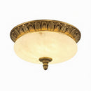 Elunyra | Ceiling Mounted Light